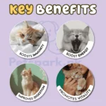 Pawfect-Adult-Cat-Food-1-Kg-1-Year-and-Above-pets-0_720x