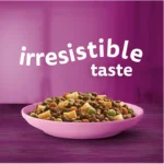 WHISKAS-Dry-Cat-Food-Chicken-1-Years-300grams-pets-6_720x