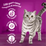 WHISKAS-Dry-Cat-Food-Chicken-1-Years-300grams-pets-6_720x